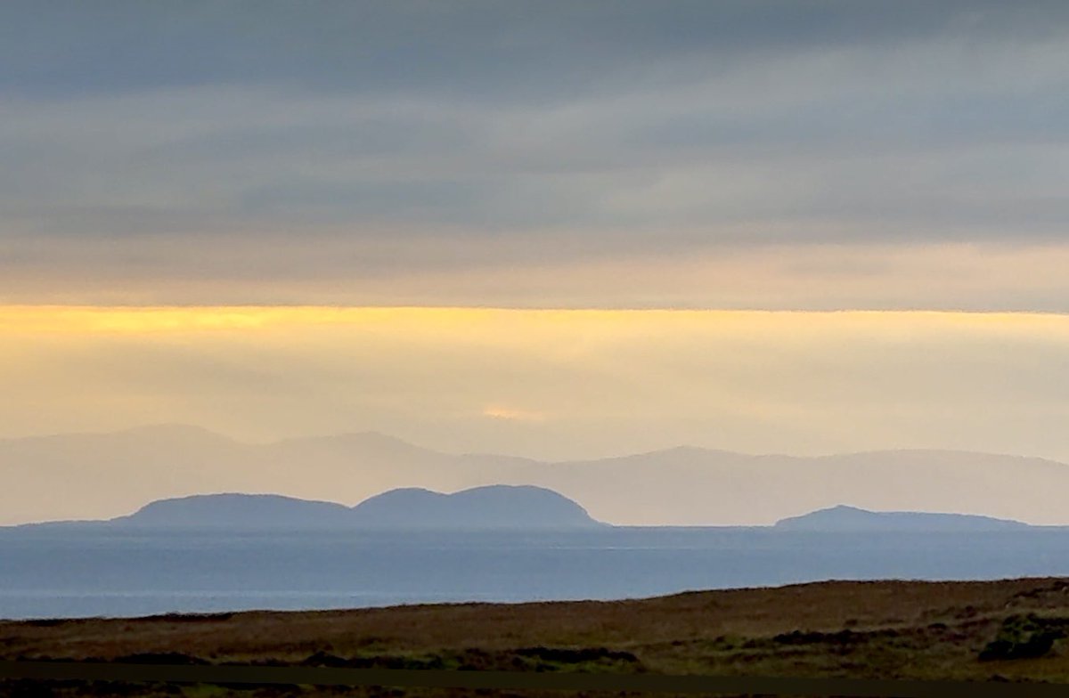 Alison Dunlop tweet media