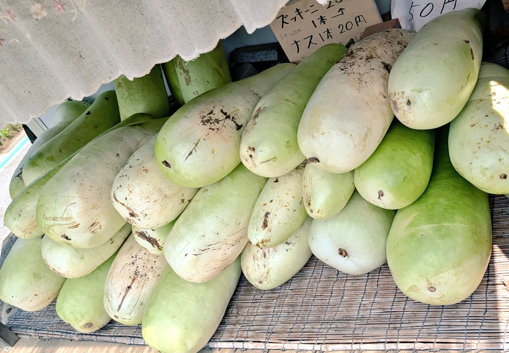 夕顔死ぬほどある