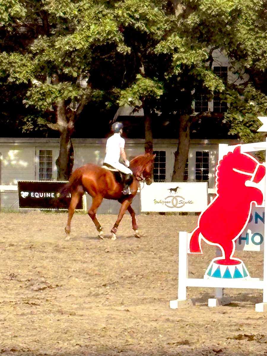 そら様♡確認Page☆ステラ・ルー ステラソラ公式 on X: