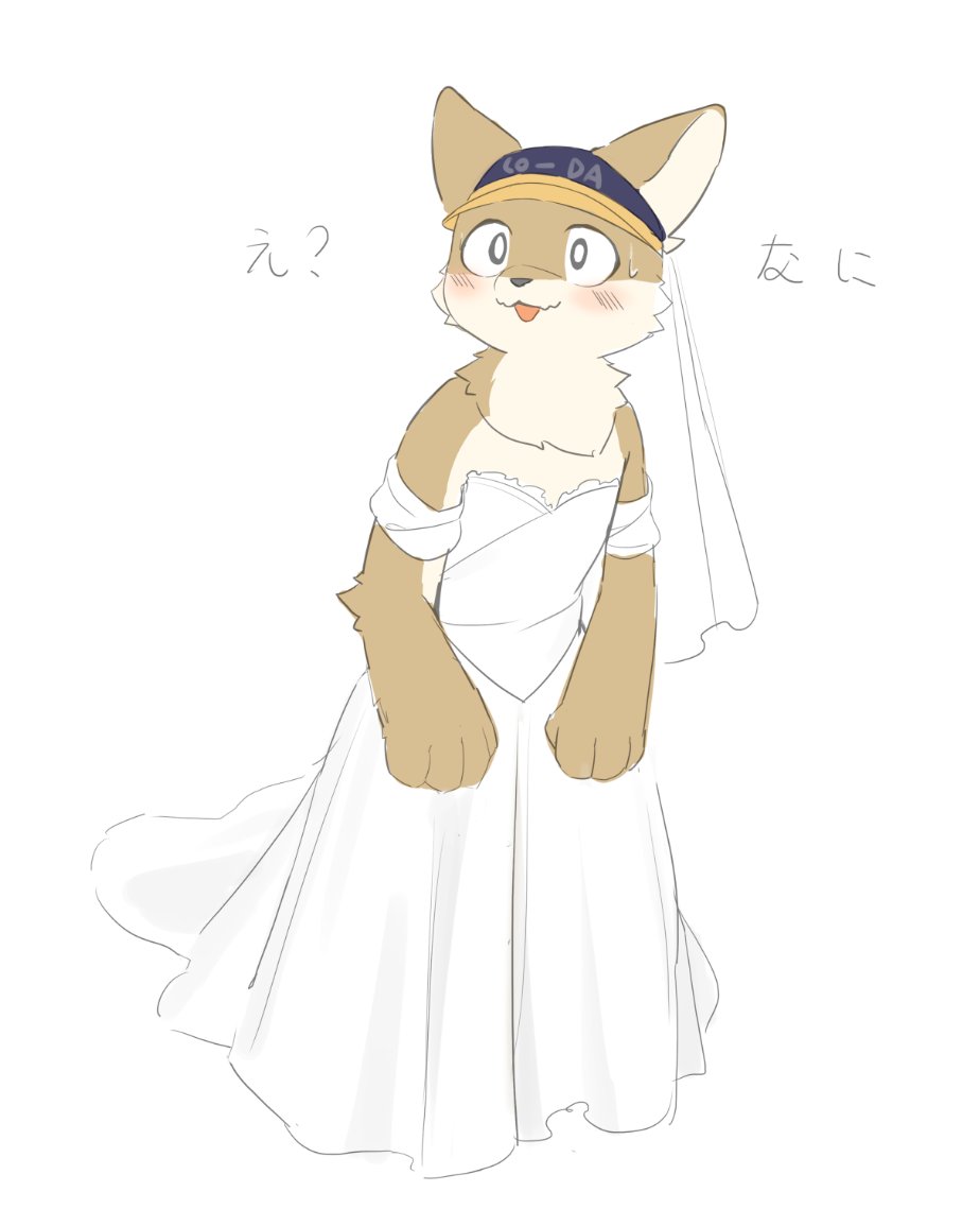 典藏|ハウ|HauHau (@hauhau_mg) on Twitter photo 