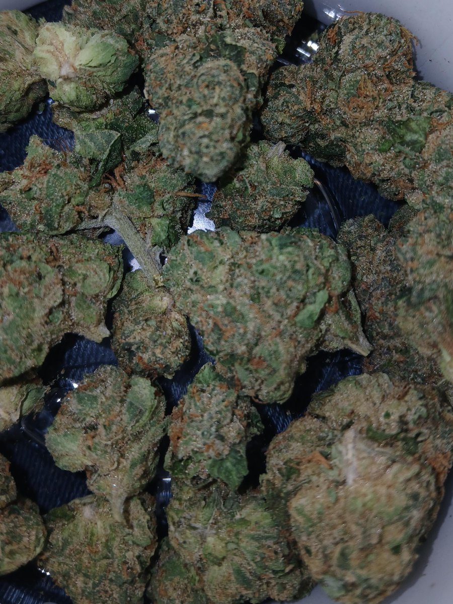 Foreign Kush Mints by Grassroots #WriteWeed #PPP #Weed #CannabisCommunity