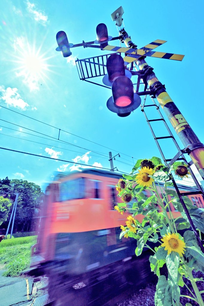 東北本線100周年☆SL試乗記念☆ペーパーナイフ FNP-11Us.webp