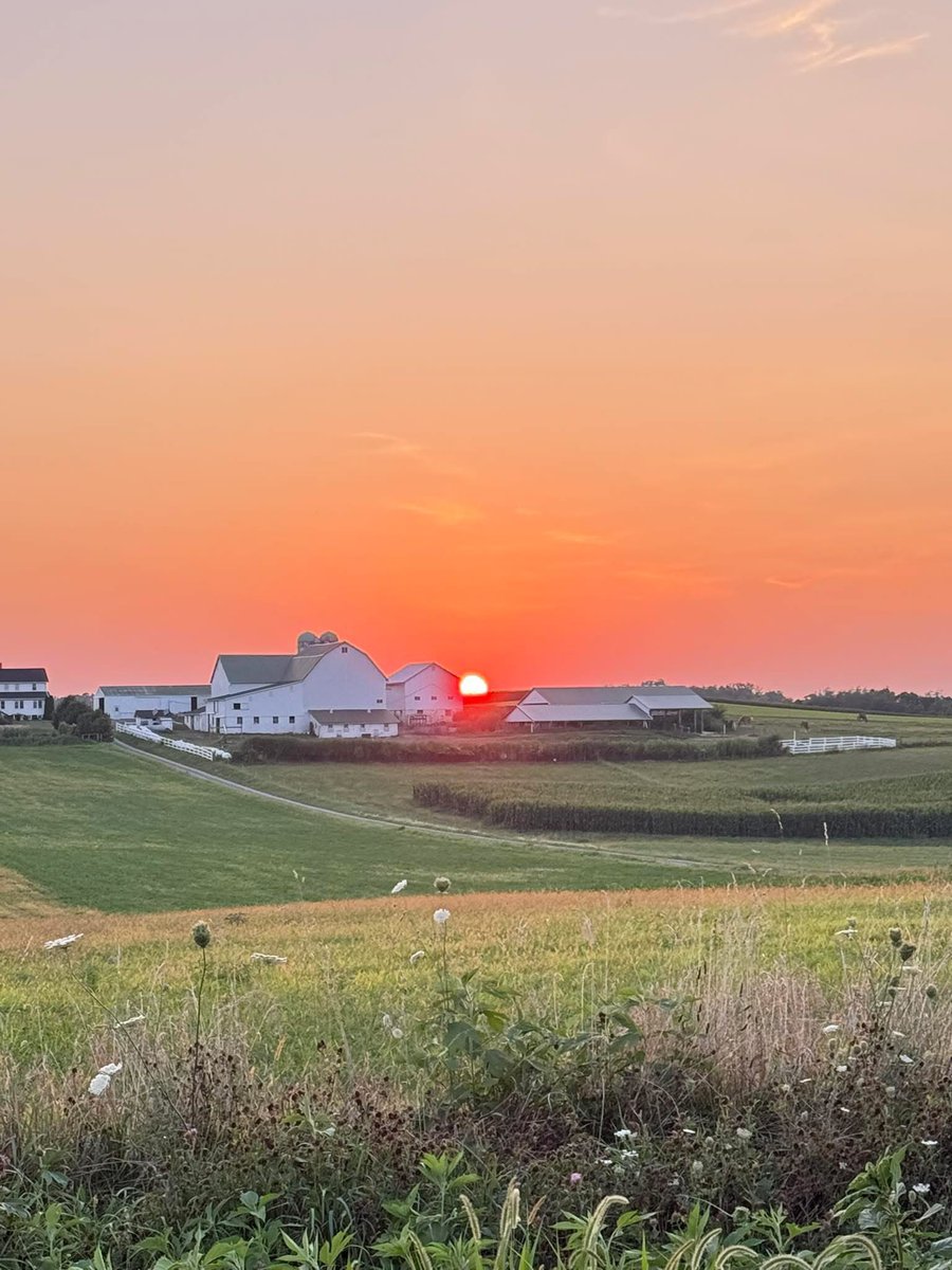 The goal isn't Gucci nor LV bags, 
It's acres of land😍