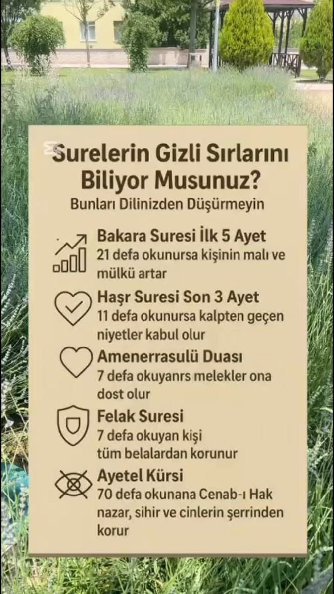 Monna Rosa (@ayaserenat) on Twitter photo 