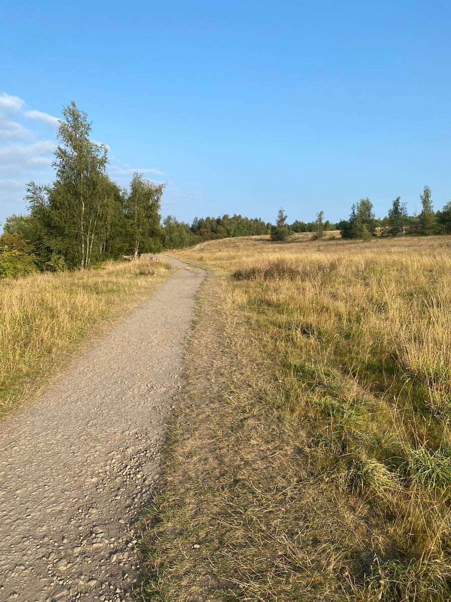 RD Mike has completed the course inspection (thanks Mike). The course is dry and in good condition. It is hot so please bring some water, dress appropriately and run to the conditions.