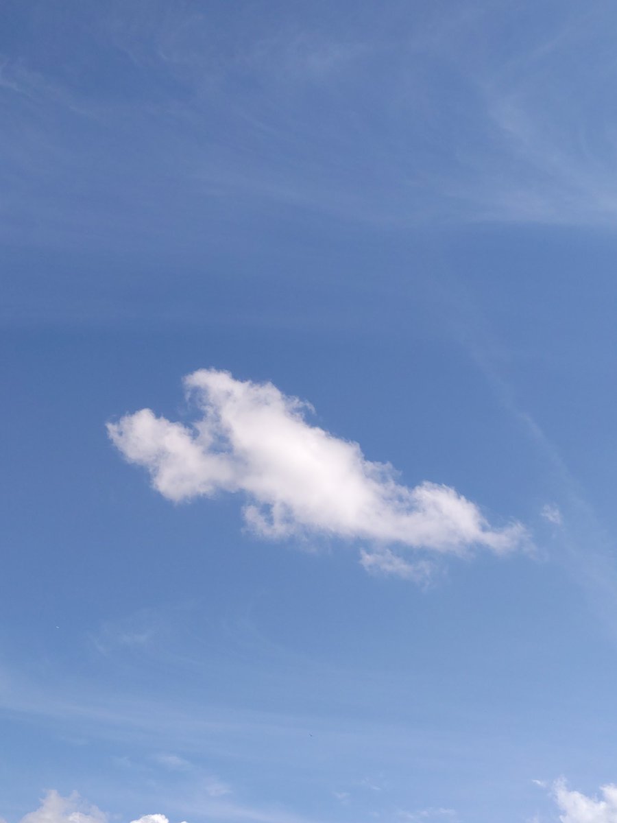 kenktm0503's tweet image. 『高級セミエビ雲』

南の空に発見

＃サキソラ
＃南の空
＃セミエビ雲