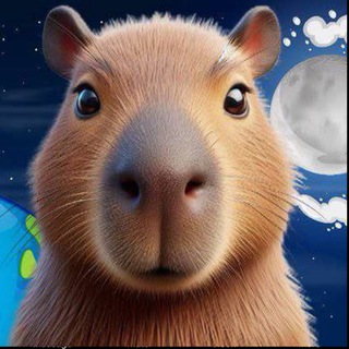 Suzanne Campbell tweet media