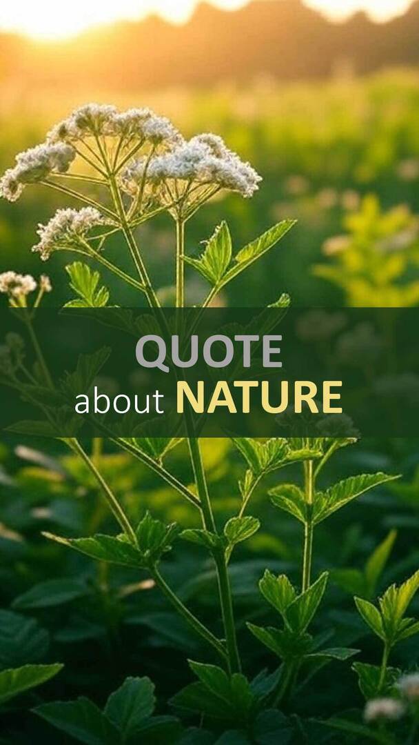 Pantelis_Decor's tweet image. Οι παλιές καθεδρικές εκκλησίες είναι εντυπωσιακές, αλλά η φυσική εικόνα με τον υπέροχο μπλε θόλου που μας περιβάλλει είναι ακόμα πιο μαγική. Ας αναγνωρίσουμε την ομορφιά της φύσης που μας ενώνει όλους. 🌍💙
#10decogr #GreatBlueDome #CathedralViews #NatureOverArchitecture