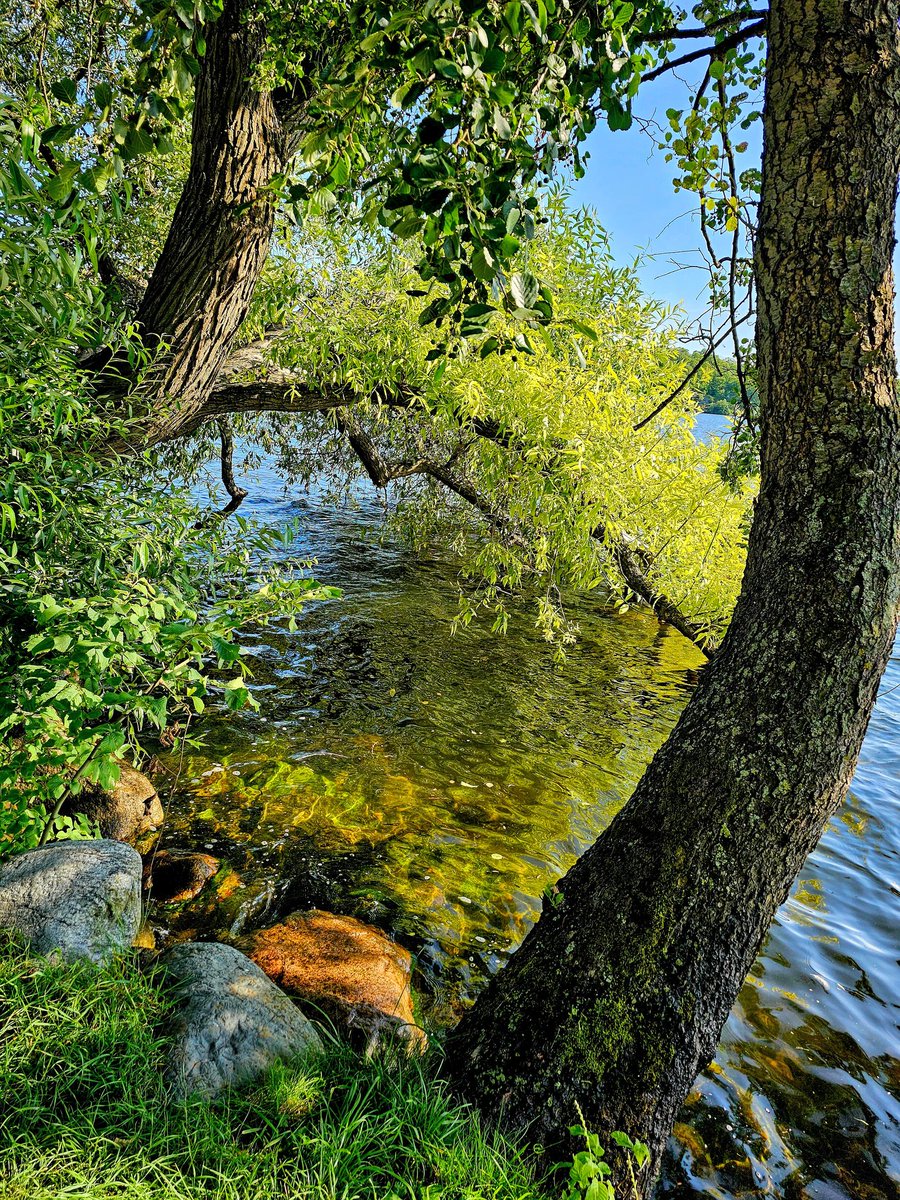 Throwback Saturday 💦🌳
#trees #NatureBeauty
