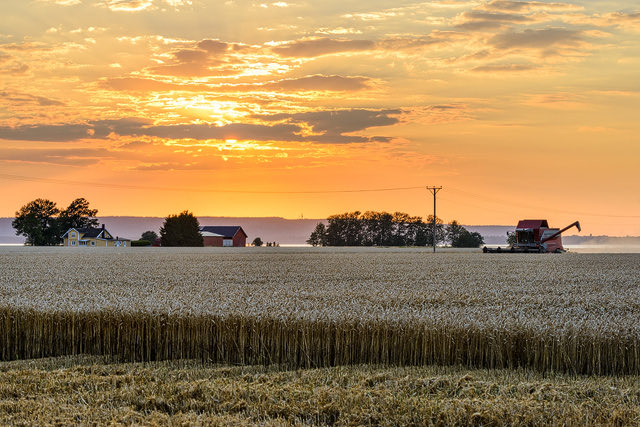 🥰 God skördetid alla bönder och tack för att ni föder vårt land 🥰