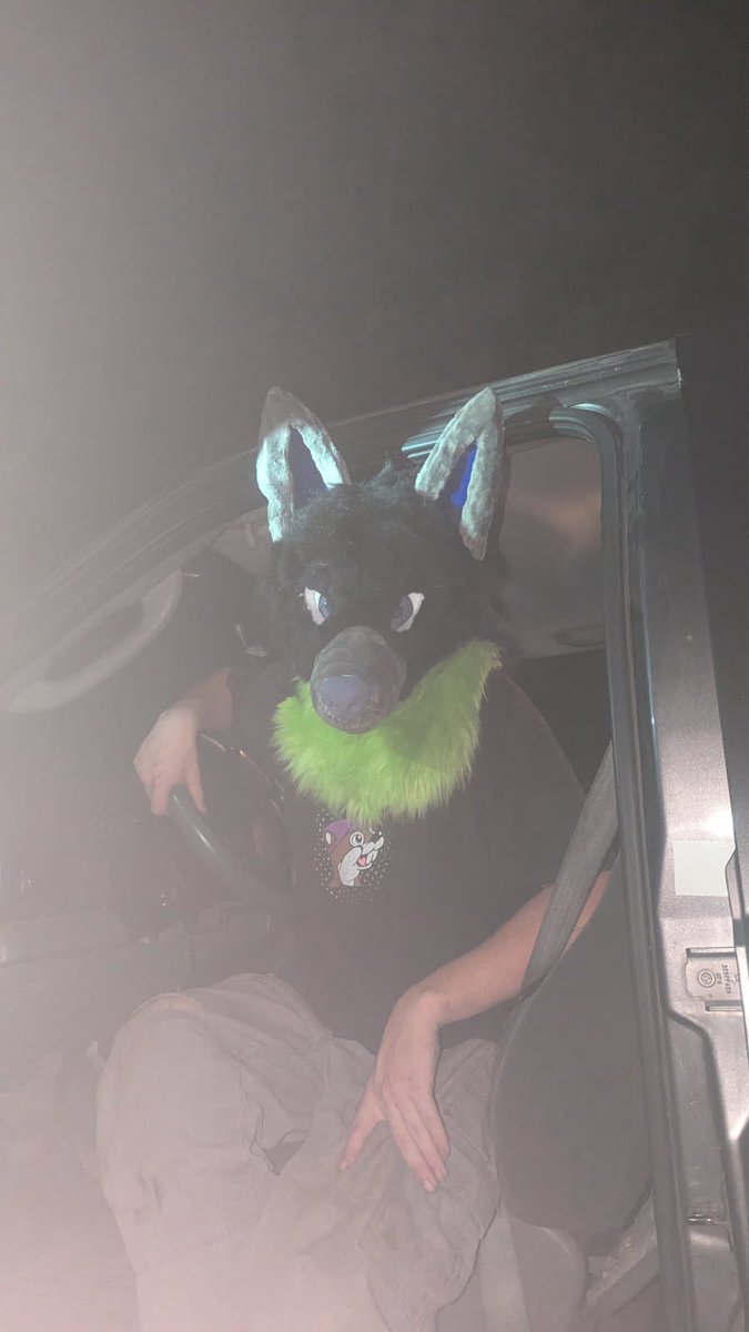 Rustypawws's tweet image. Dog got his hands on a disel