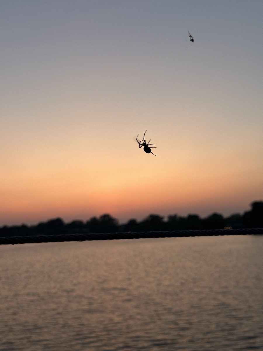 میان زمين و آسمان معلق مانده‌ام
چون ذرات هوا بر كت تو
شبيه قطره‌ى آبى بر نوك چانه‌ات
شبيه عنكبوتى ميان دو تهى
همانند تقديرى
ميان لب‌هاى خدا

چون گناهى آويخته در تو