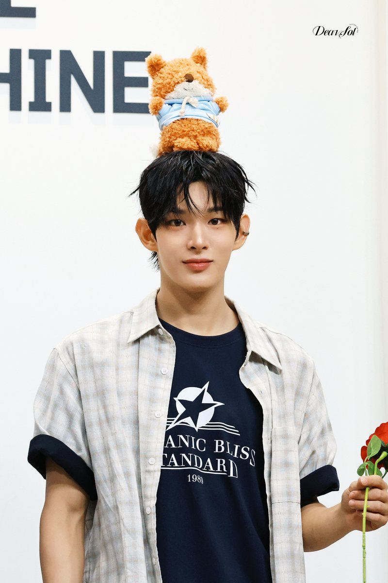 DearSol☀️ tweet media