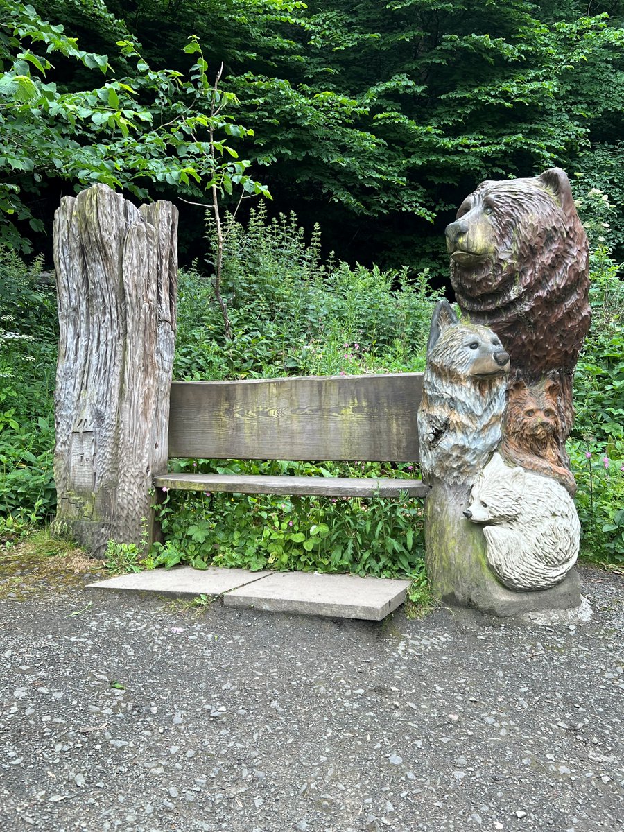 TheWallaceMon's tweet image. &quot;If you go down in the woods today, you&apos;re sure of a big surprise.&quot;  🧸 🐻
We hope you brought a picnic, because there&apos;s plenty of spots to explore on the Abbey Craig trail walk. 
#FunForAllTheFamily