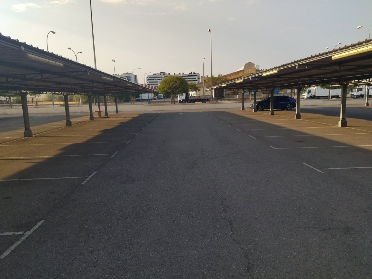 Sanzot 431 tweet media