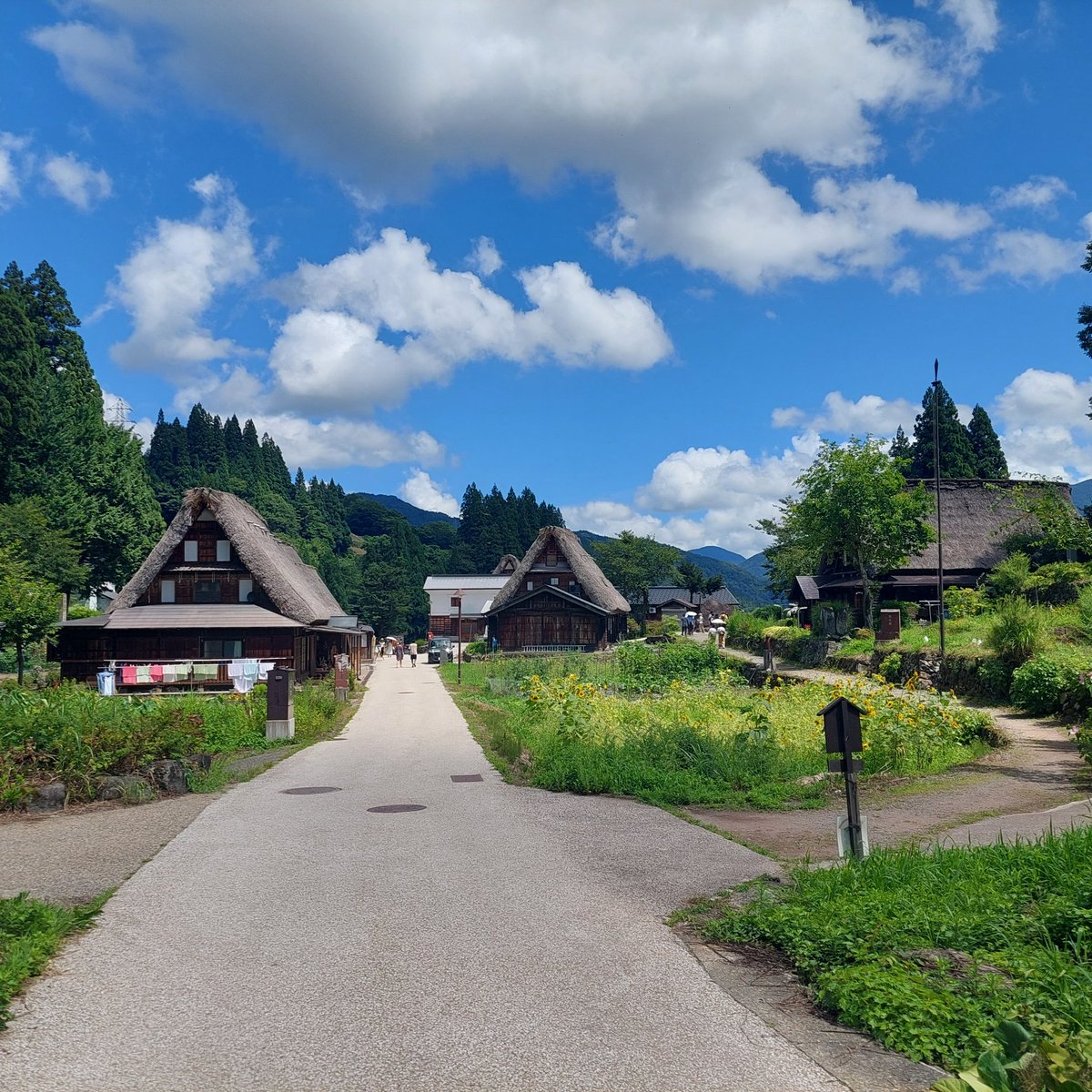 switch_back_48's tweet image. 県内旅行

五箇山と10段ソフト。