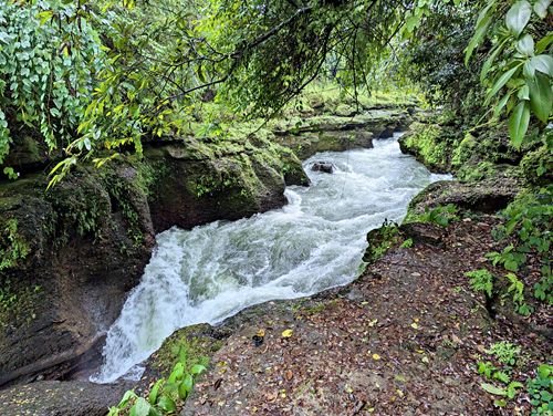 The #Nepal i name for Devi�s Falls means Underworld Waterfall. Here, the roaring Pardi Khola stream plunges into an underground tunnel which starts at the Gupteshowor Mahdev Cave in #Pokhara , #Nepal . Have you been here? backpackandsnorkel.com/Nepal/Day7/576…
