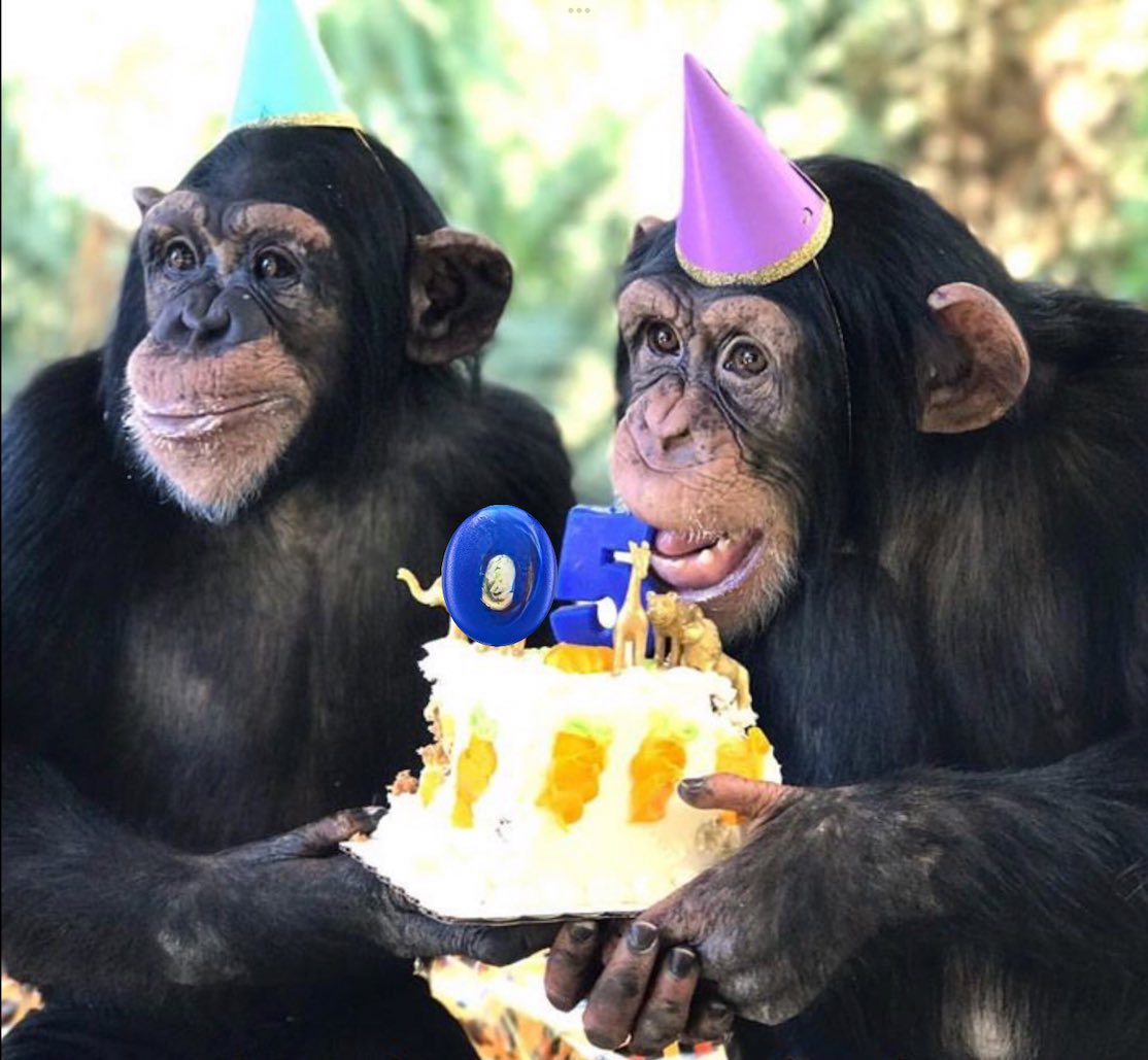 Beppo (@super_beppo) on Twitter photo <a href="/CaptKarnstein/">CaptKarnstein is watching another bad film. π»</a> I made a cake today to help commemorate your very special milestone birthday (Iβm a baker not a mathematician, dang it!). Hope you enjoy a festive day celebrating with friends and family. Wishing you a most Happy Quinquagenarian Birthday Capt! ππ <a href="/CaptKarnstein/">CaptKarnstein is watching another bad film. π»</a> I made a cake today to help commemorate your very special milestone birthday (Iβm a baker not a mathematician, dang it!). Hope you enjoy a festive day celebrating with friends and family. Wishing you a most Happy Quinquagenarian Birthday Capt! ππ