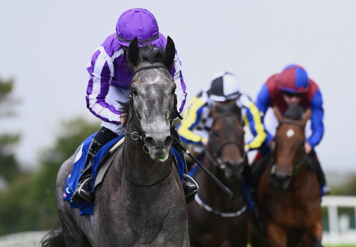 CASH GIVEAWAY! 💷

Pinhole (13:50), More Thunder (15:35) &amp; Puppet Master (16:37)!

If this trio win today at Newbury &amp; The Curragh, I’ll give £250 to one lucky person who enters!

To enter: - 

Like &amp; Repost
Follow <a href="/RacingGav/">RacingGav</a> &amp; <a href="/BetCoUK/">Betting.co.uk</a>
Tag a friend in the replies!

Good luck!