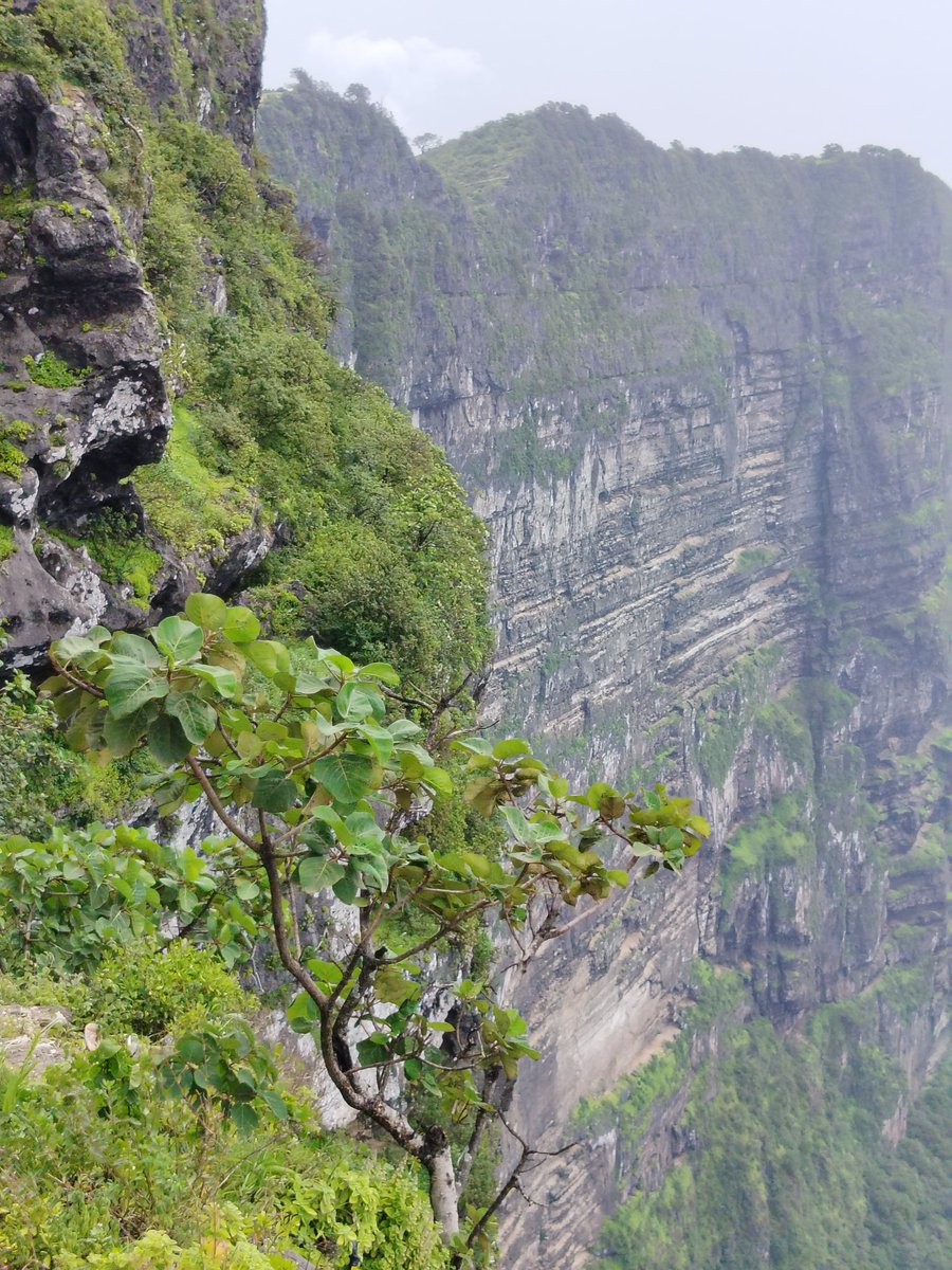 #صباح_الخير
...

نسألك اللهم السكينة و الطمأنينة و راحة البال

يسعدلي جوكم 
#صباح_الخير_والسعاده_للجميع