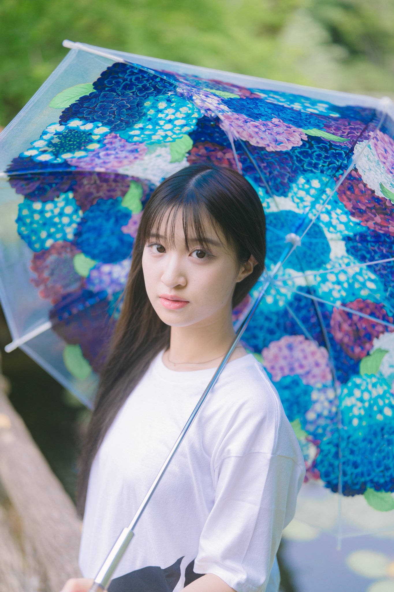 紫陽花　あっちゃんさんセレクト❤️ 紫陽花さんがいっちゃん可愛い on X: 