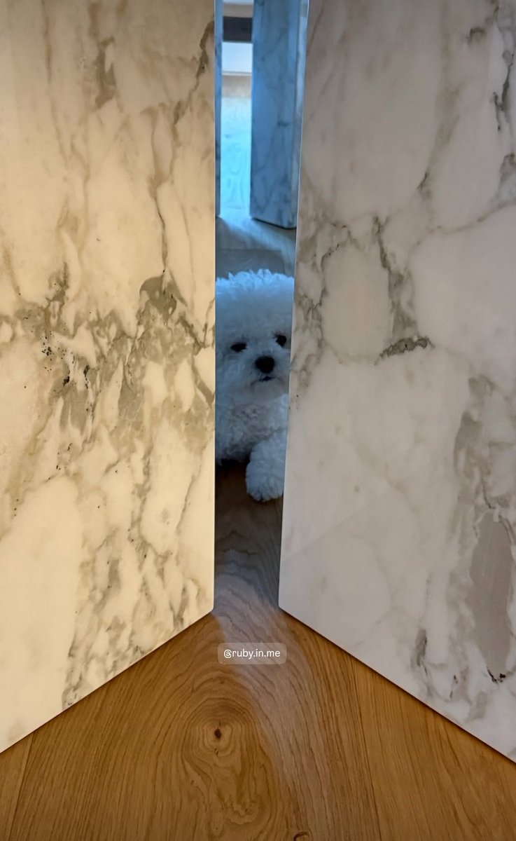 Kyo's friends are still at her place after yesterday’s Independence Day celebrations, and they shared some pictures of Ruby 🫶🏻

#SongHyeKyo