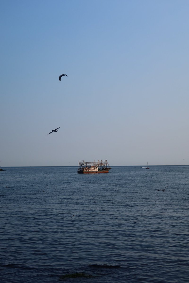 ttiiddaa315733's tweet image. 