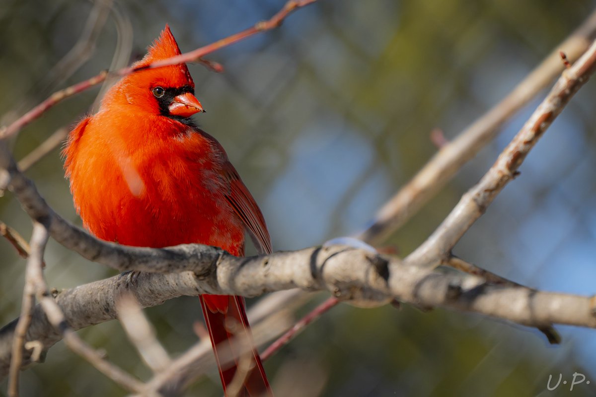 うちだ👶🍺 tweet media