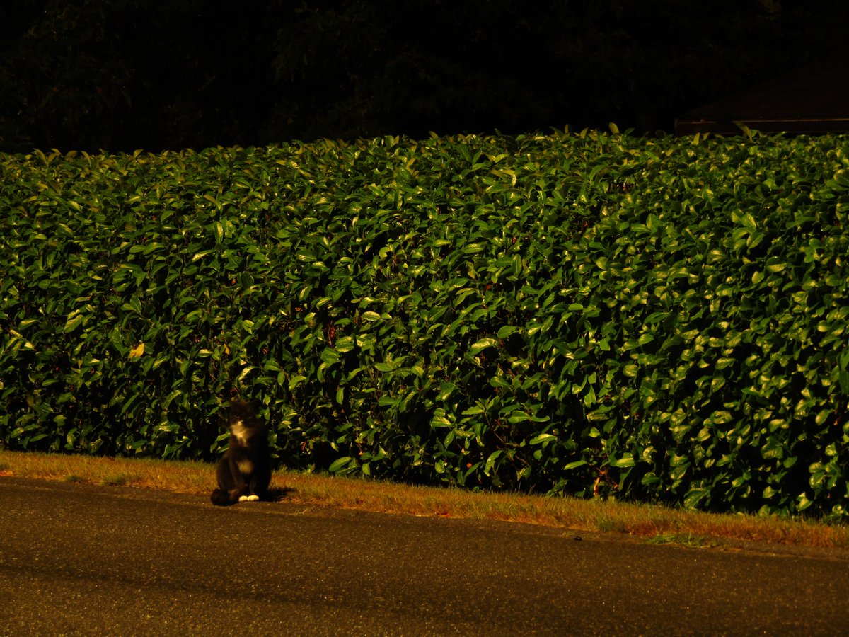 routinecolours's tweet image. 