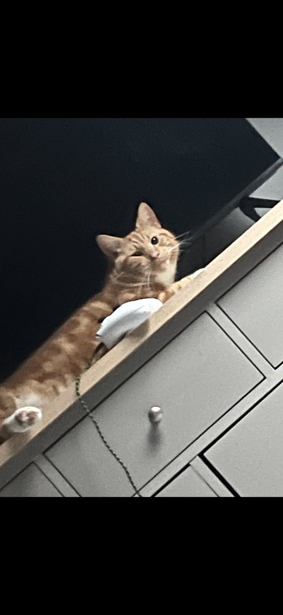 How do you put on the tv? It’s 3am and I woke you up to ask…