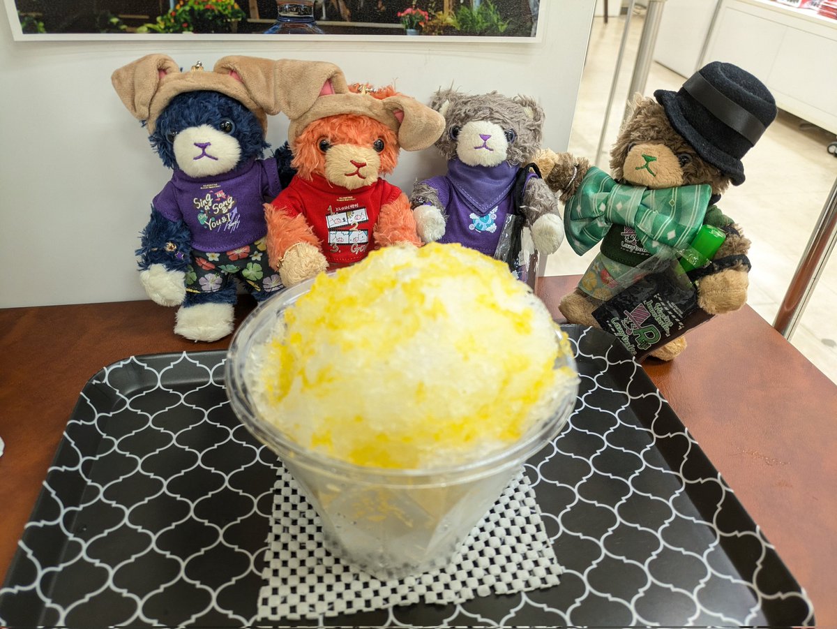 新宿 京王百貨店　夏祭りの「ひんやりフェア」

色々なかき氷🍧食べれる！と行ったら、レストラン街や喫茶スペースなどと合わせてのフェアで、催事スペースは1店舗出店でした😅

みかん🍊のかき氷
写真撮ってる間に少し溶けてしまったけど、キーンとならず最後まで味がしっかり感じられ美味しかった😋