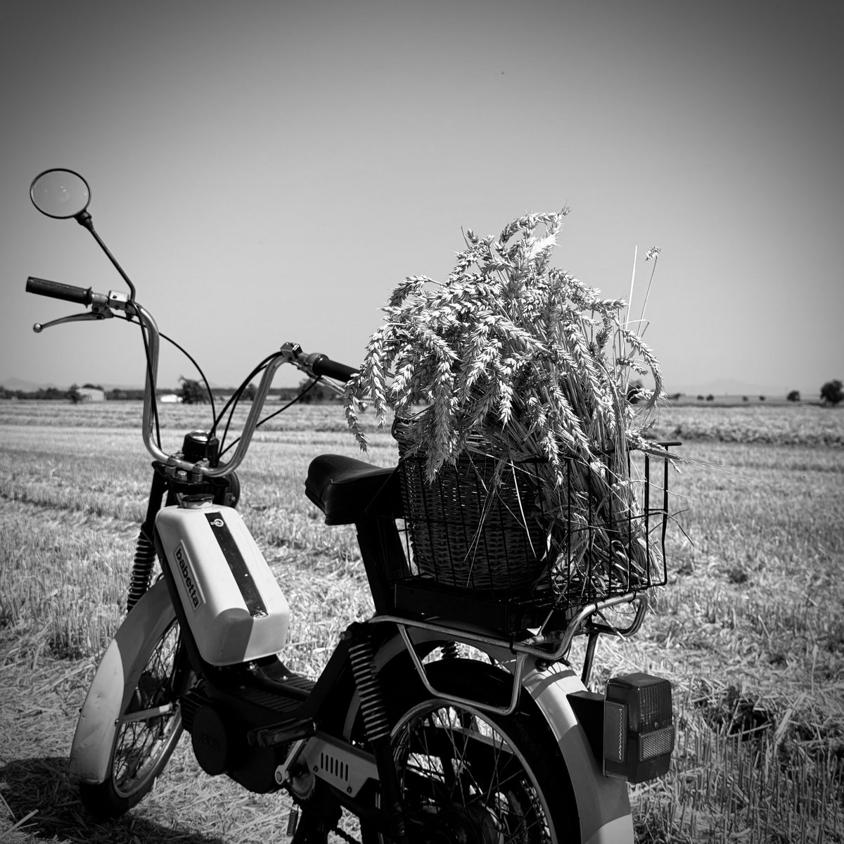 Tak na polích je sklizeno. Kompozice léta s mojí Babettou 210 a poslední kyticí z obilí z pole. 
Zemědělci s konbajny to stihli, dnes už prší.