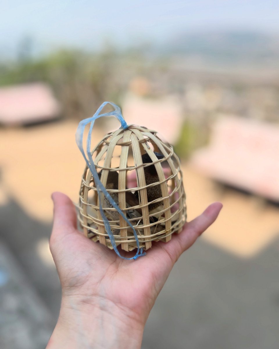 Ms. Conni tweet media