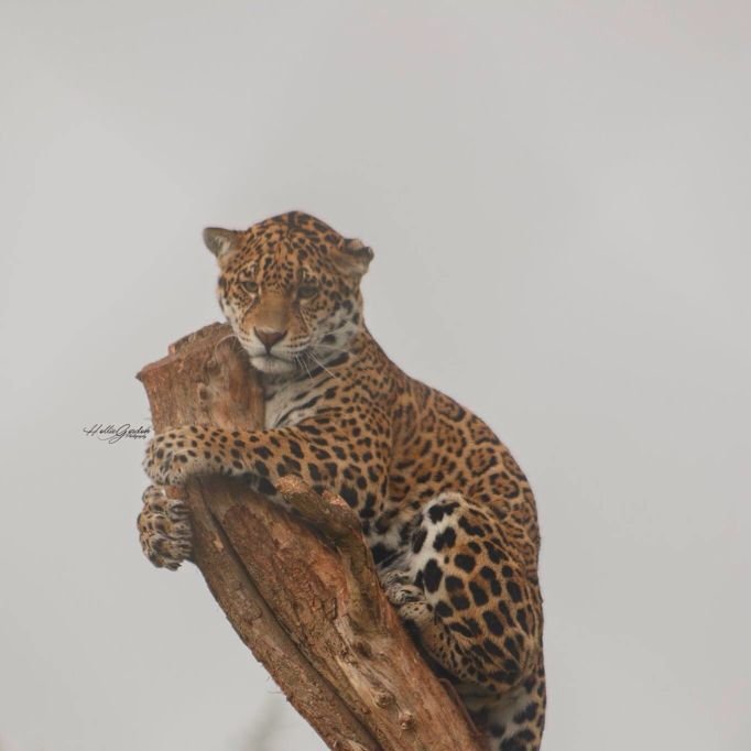 adonispara's tweet image. Time is indifferent.