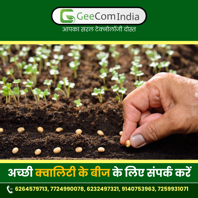 GeecomIndia's tweet photo. 🌱 ज्यादा पैदावार, ज्यादा मुनाफ़ा – अच्छी क्वालिटी बीज के साथ🌾

Contact us now:- https://t.co/HlrgiXvgt3

You Call Us: 7724990078, 6232497321, 7259931071, 9140753963,     6264579713

#geecomindia #VocalForLocal #agriculturelife #DirectFromFarmers #ConnectWithFarmers #farmerlife https://t.co/YtVETe5wgm