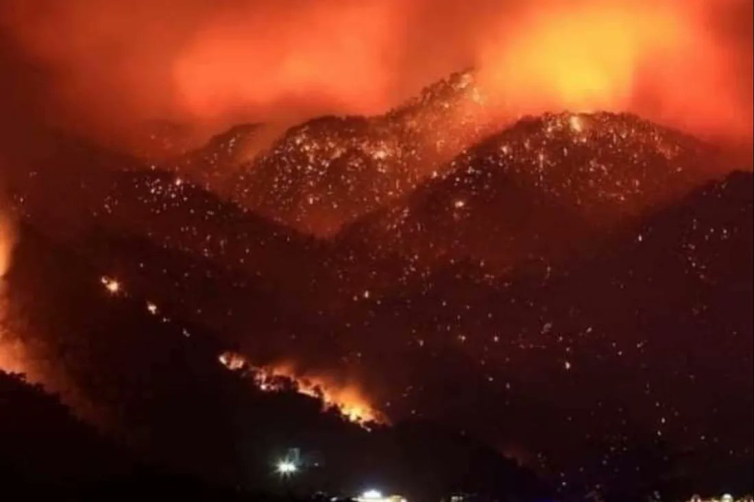 LA KABYLIE NE FAIT PAS PARTIE DE L'ALGÉRIE :  
UNE NOUVELLE PREUVE  

Suite à un accident de la circulation survenu hier dans la banlieue est d'Alger ayant fait une vingtaine de morts, paix à leurs âmes, le président algérien, compatissant, décrète une journée de deuil national.