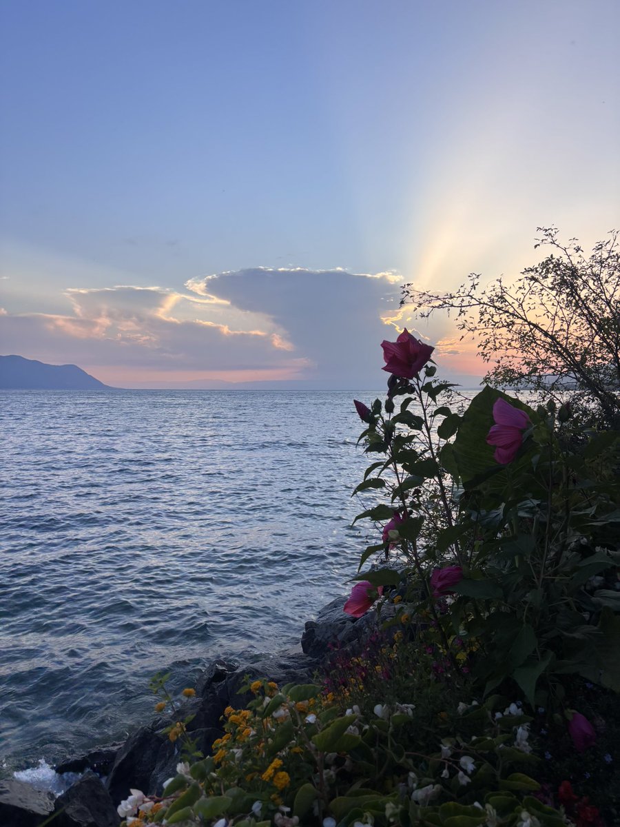 Yesterday evening I walked around Montreux in Switzerland and admired the sunset over the lake