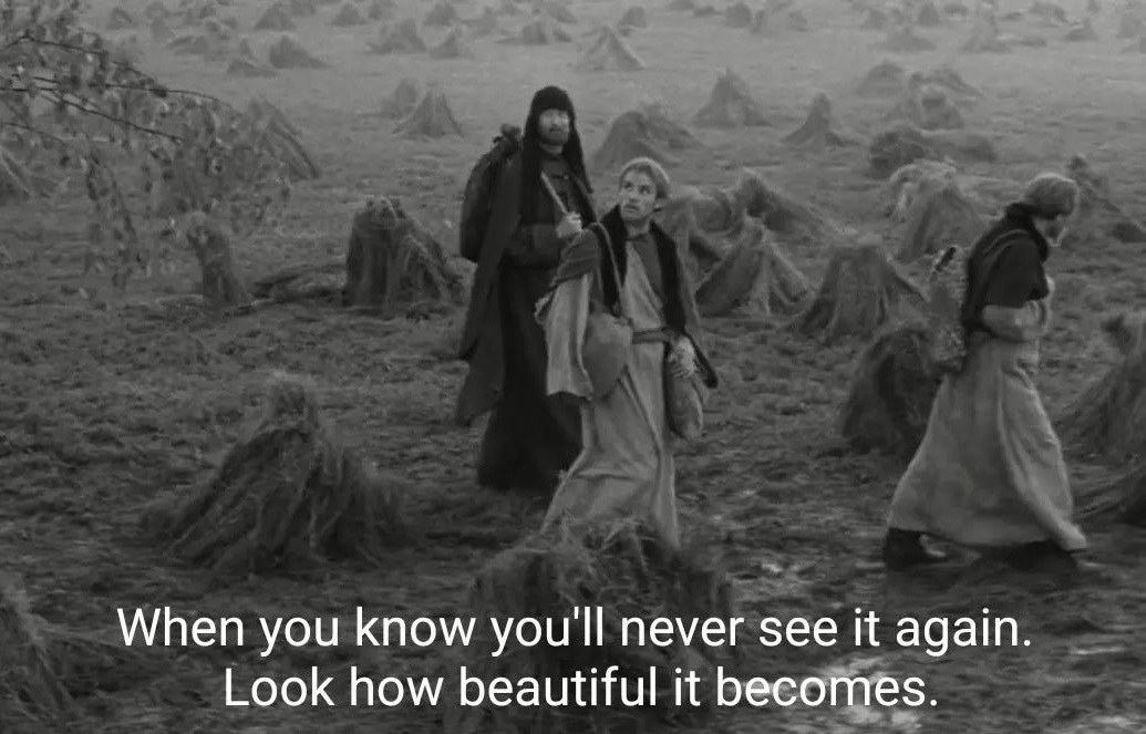 buridansridge's tweet image. 