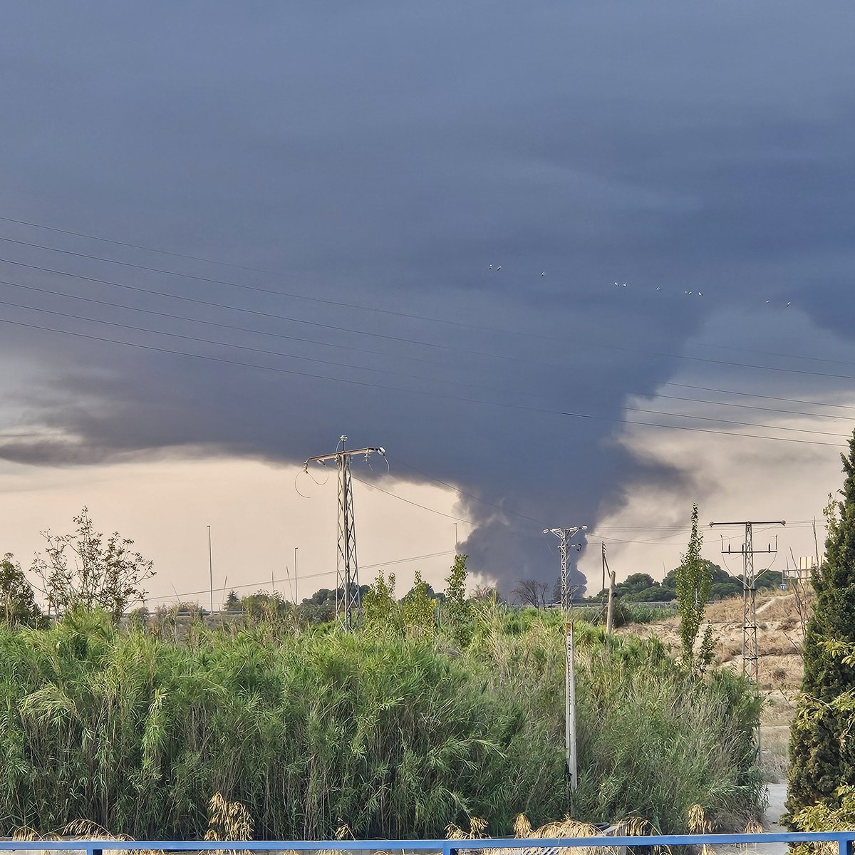 El incendio del PTR de La Cartuja visto desde Zaragoza a las 8:06 
Depósitos de neumáticos que arden antes de poder ser reciclados.