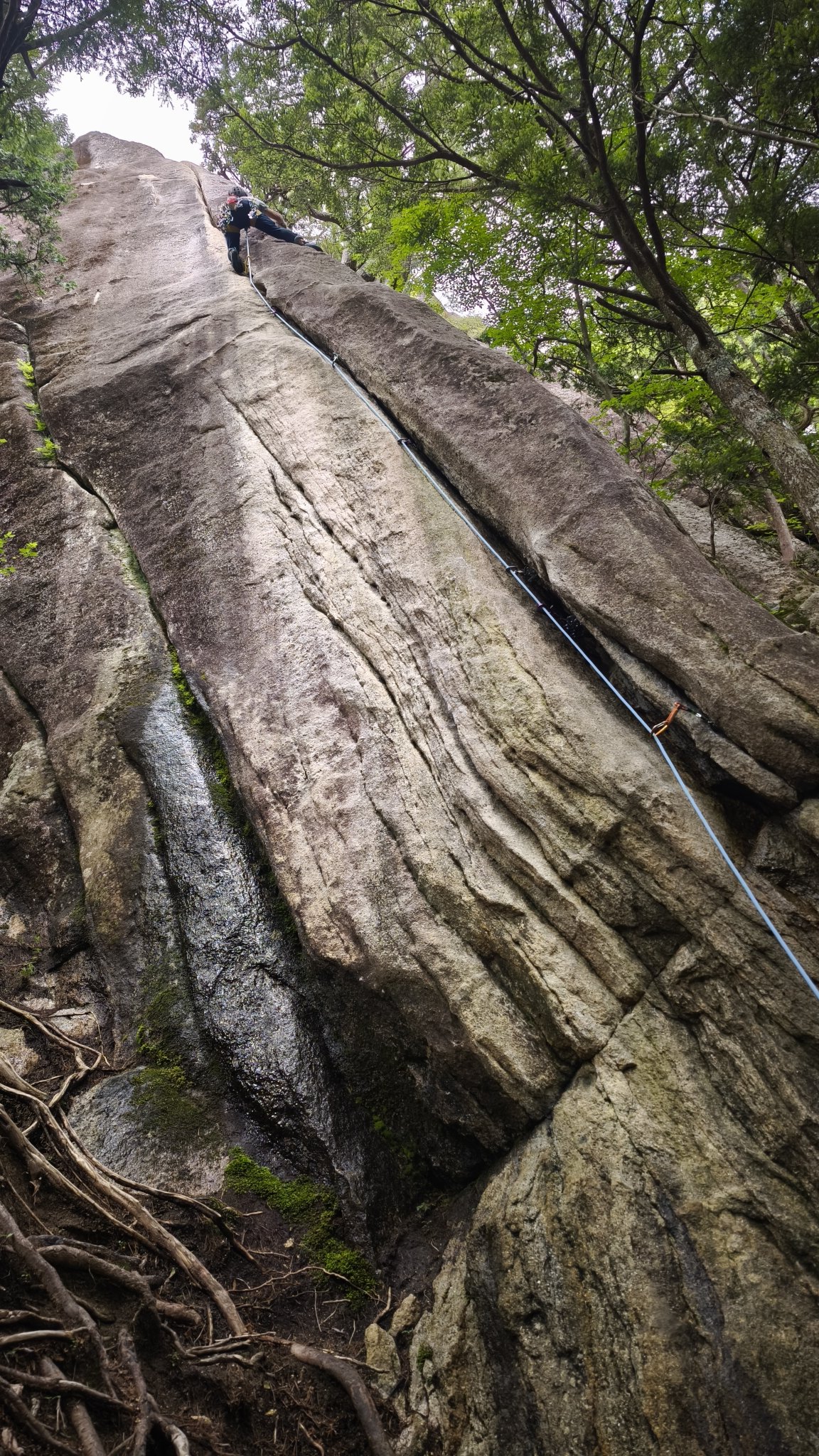 山スキー sddefault.jpg?v=6675a26a