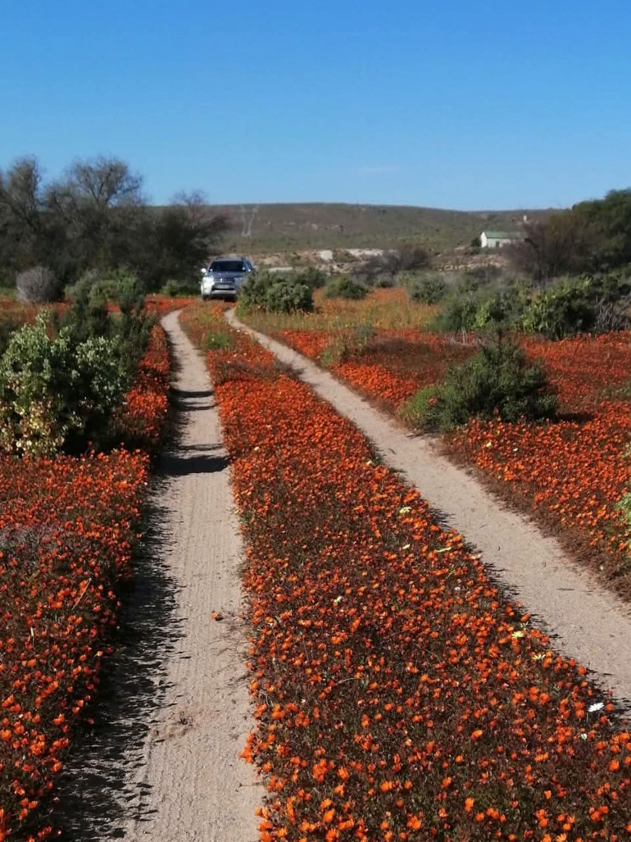 Carl. (@carl_ce50) on Twitter photo 