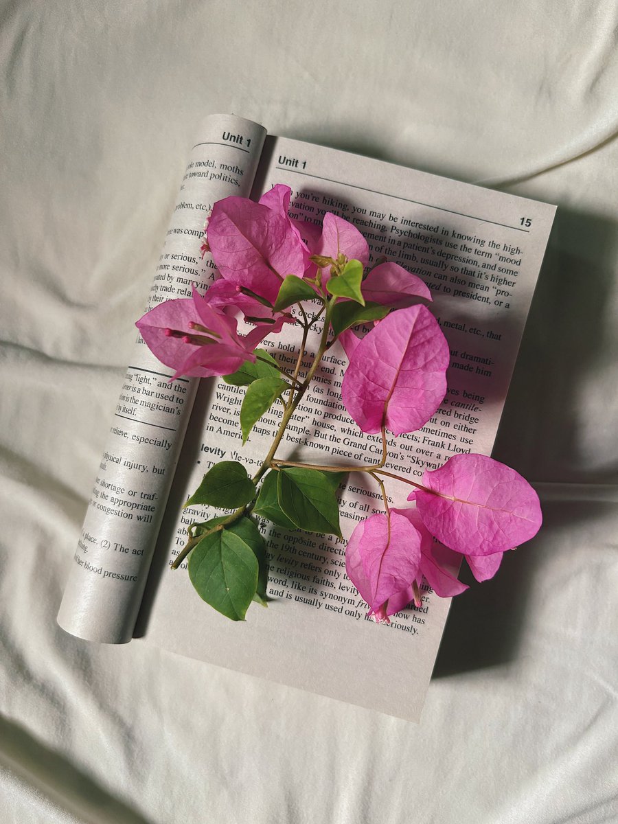 🌸🤍