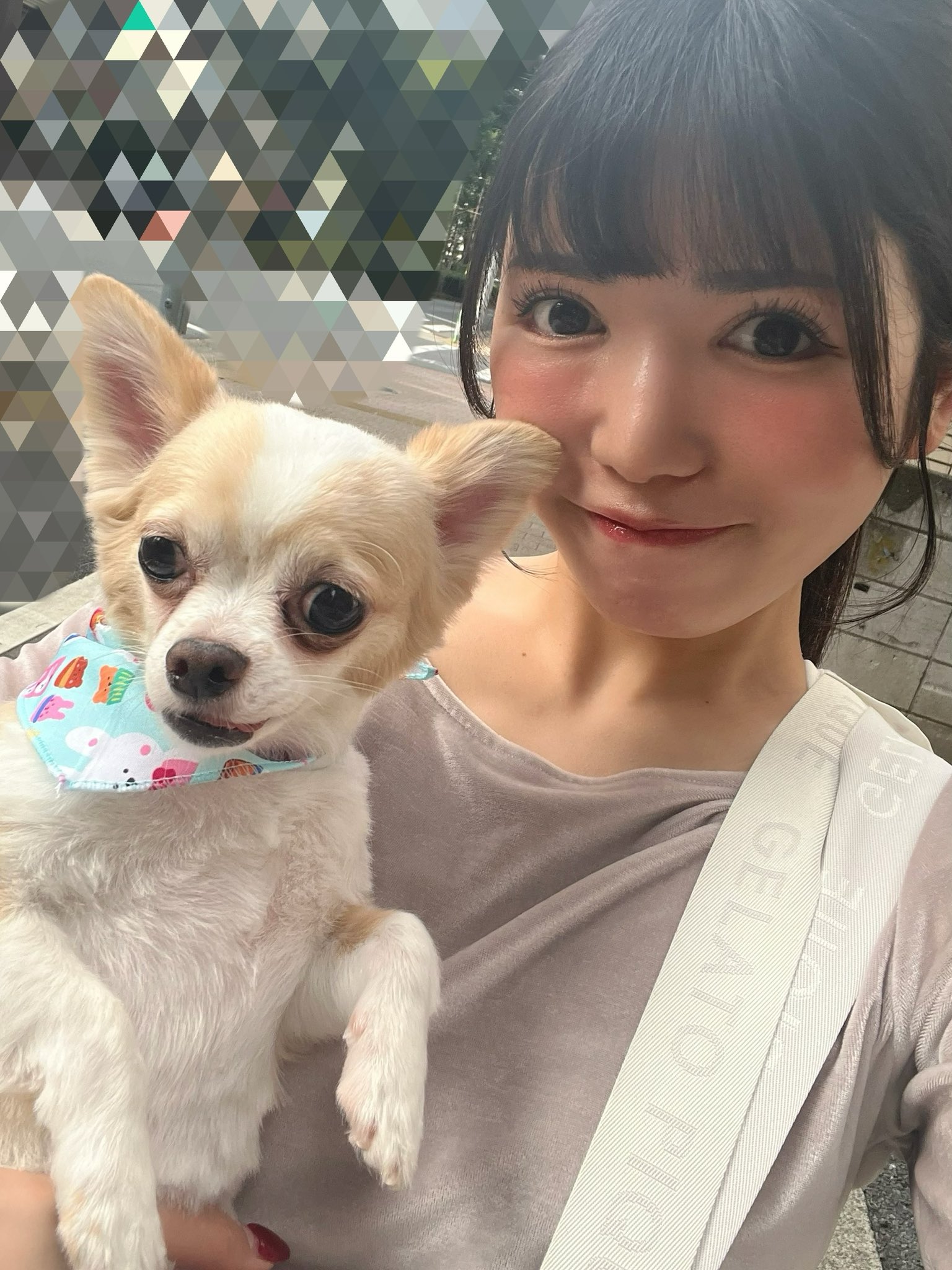 らんちゃん様❣️専用ページ 006.jpg?v=1741175263&width=1946