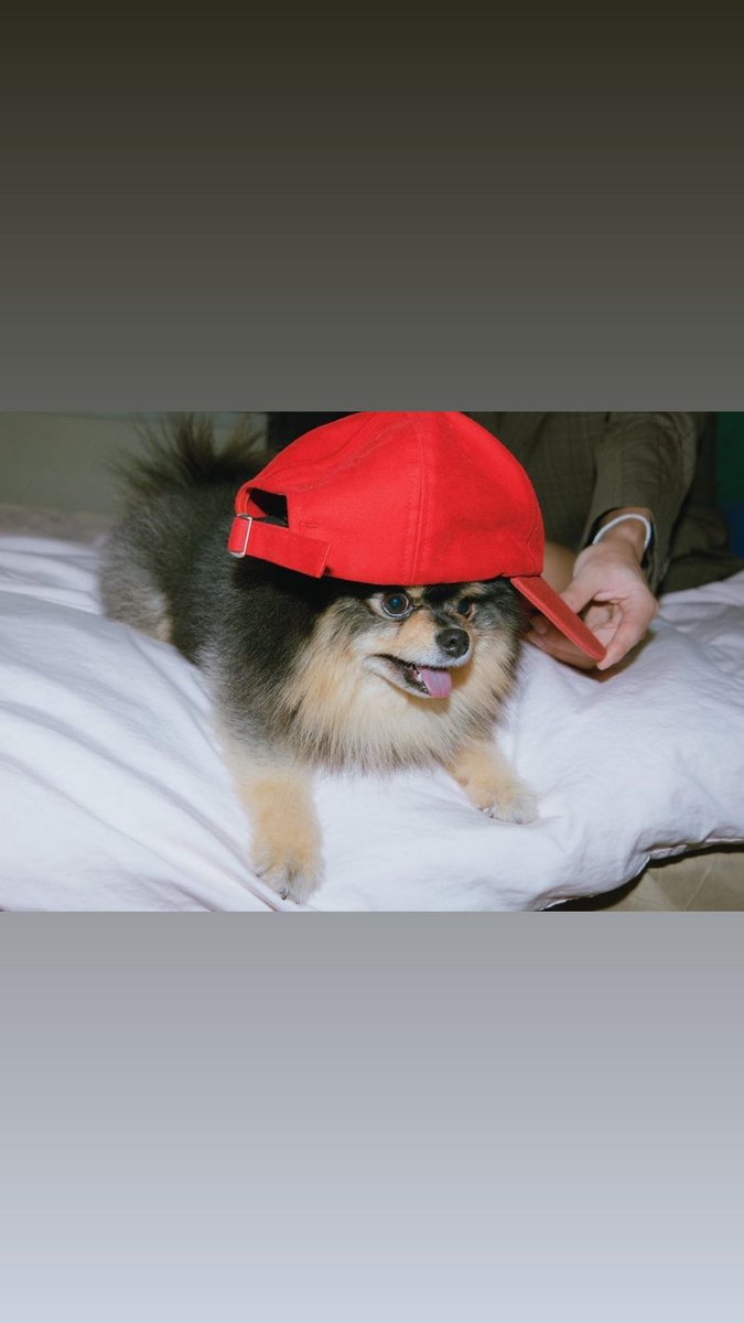 💜We Love thv💜

Instagramでもテヒョンさんを応援✨
毎日チェックを！

✦IGでthvを検索
✦気になるポストを選択
✦いいね（♡）+🔖（保存）
✦自身のstories&amp;各SNSにシェア
✦webでthvを検索🔎

テヒョンさんはInstagram Kingです👑
シェアしたポスト🔗を送って下さい🔽

#キムテヒョン #BTSV
#thv