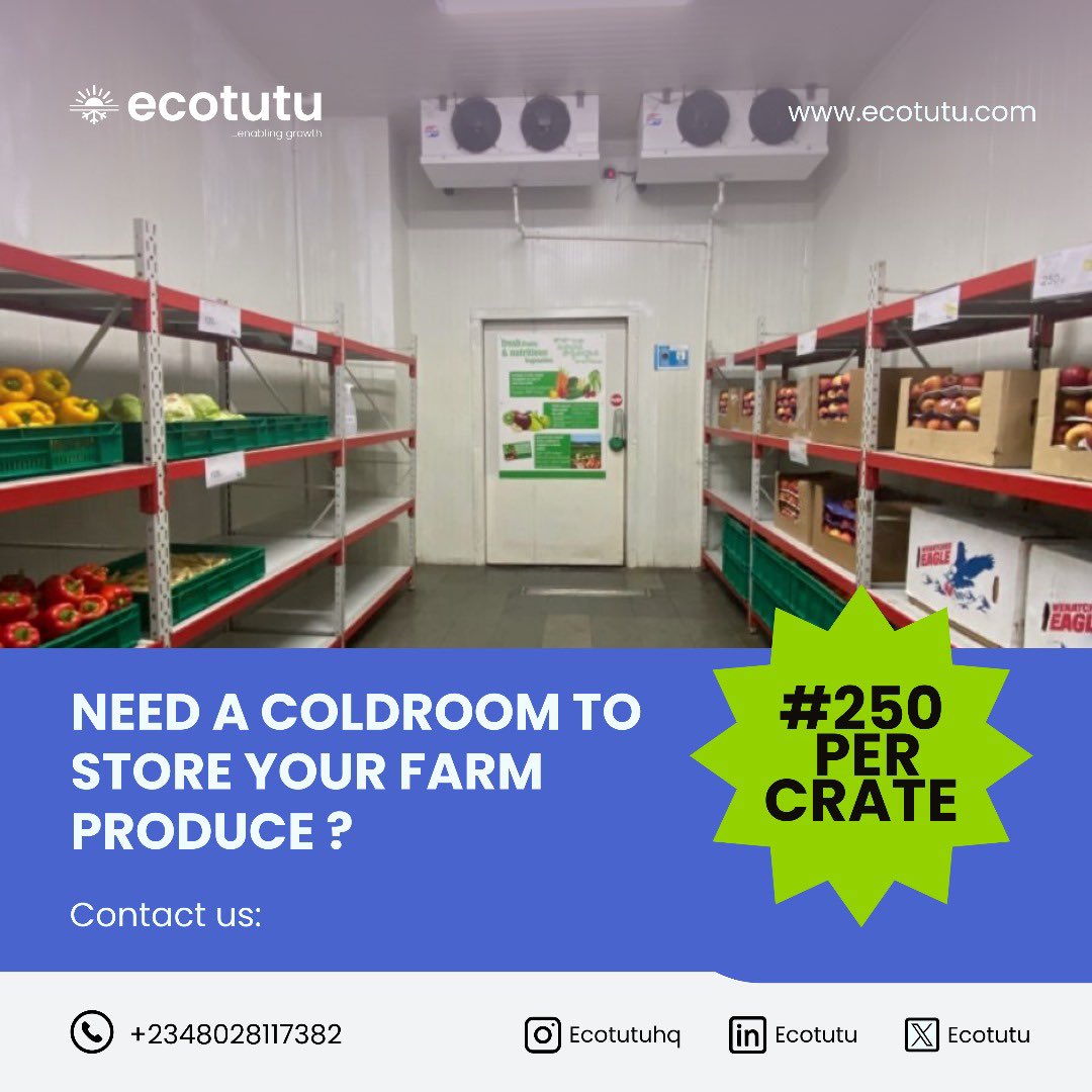 ecotutu's tweet image. Just ₦250 per crate? Yes, you heard right only at Ecotutu Mile 12! 
No generator wahala. No more spoilage headaches. Just reliable cold storage that protects your produce and your profit.

This isn’t your everyday offer, book your space before it’s gone!

#enablinggrowth