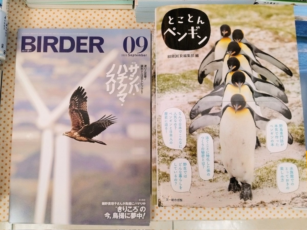 文一総合出版 BIRDER 2013年1月〜2015年12月36冊セット