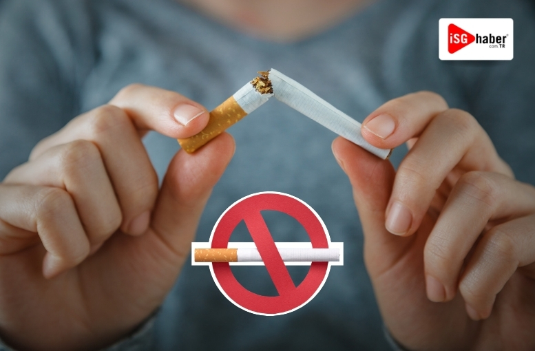 İSG HABER™ (@isghabercomtr) on Twitter photo 🚭 Artvin, Türkiye’nin İlk Sigarasız Şehri Oluyor
📌 Haberin Devamı:
isghaber.com.tr/saglik/artvin-…
<a href="/saglikbakanligi/">T.C. Sağlık Bakanlığı</a> <a href="/drmemisoglu/">Prof. Dr. Kemal Memişoğlu</a>
👉🏻 isghaber.com.tr 👀
#isghaber #isg #haber #artvin #sigara #sağlık 🚭 Artvin, Türkiye’nin İlk Sigarasız Şehri Oluyor
📌 Haberin Devamı:
isghaber.com.tr/saglik/artvin-…
<a href="/saglikbakanligi/">T.C. Sağlık Bakanlığı</a> <a href="/drmemisoglu/">Prof. Dr. Kemal Memişoğlu</a>
👉🏻 isghaber.com.tr 👀
#isghaber #isg #haber #artvin #sigara #sağlık