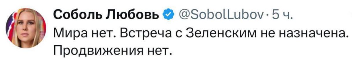 ... водка зря потрачена. 
Я смотрю в окно, 
Дымом дышат трубы, 
Лежу как бревно,
Колотят дробью зубы.
К финишу полёт
Подходит мой, малята,
Никто не нальёт,
Смеётся громко Вата.
Йо-йо-йо!