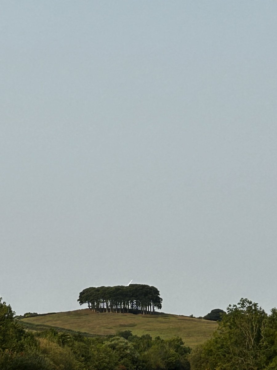 The famous Cookworthy Knapp beech trees. Had a brilliant run down here! Hasn’t felt like nearly 6hrs. Soon be time to get me a rattler 🐍