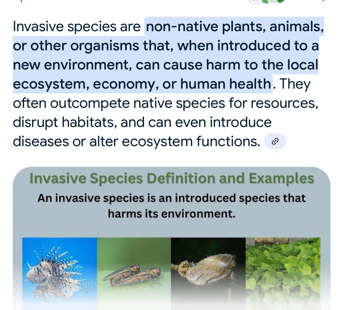 Indians are an invasive species
